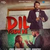 About Dil Todh Ke Song